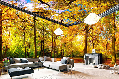 国际环保标准化